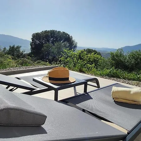 Estrellas Del Duende