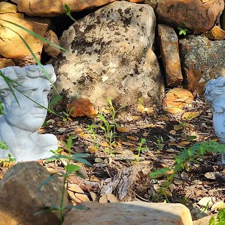 Estrellas Del Duende